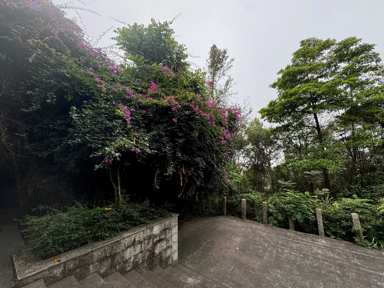 平峦山公园 · 摄影 4
