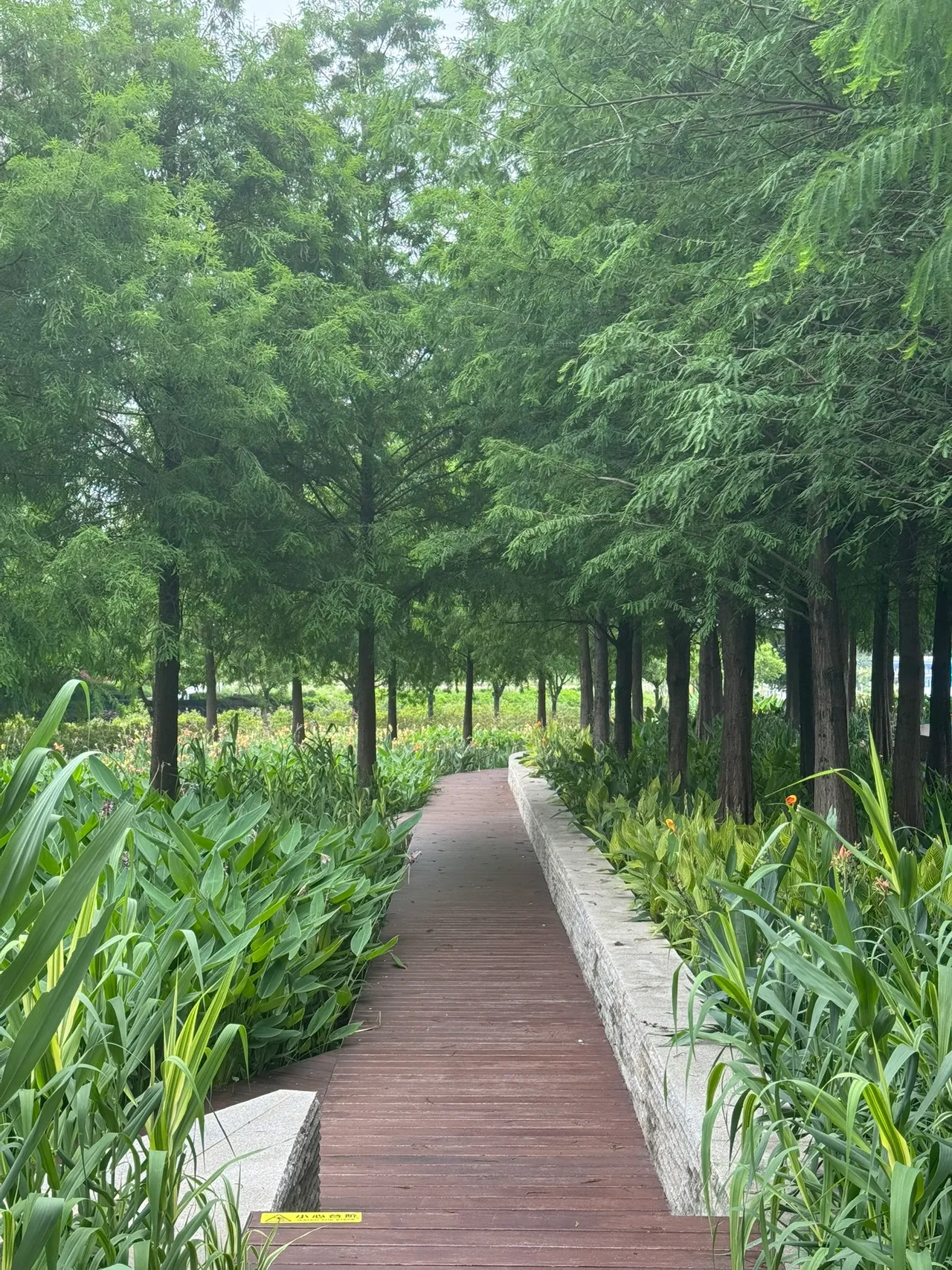 桂湾公园 · 摄影 7