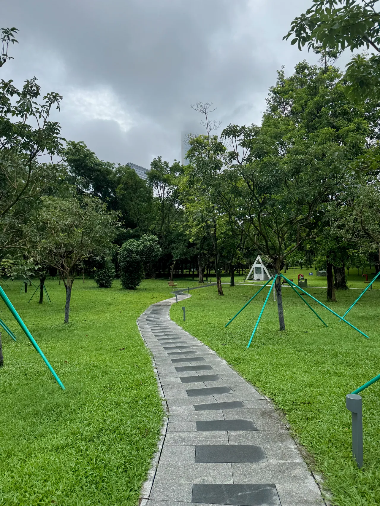荔香公园 · 摄影 4