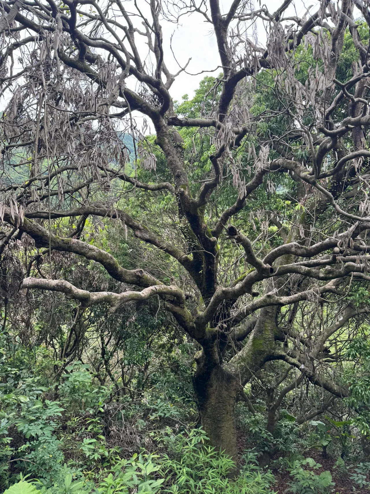 阳台山公园 · 摄影 2