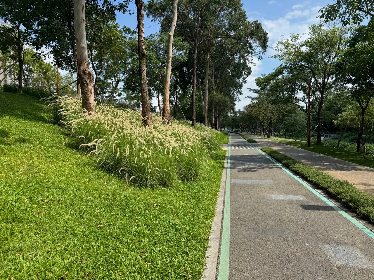 大沙河生态长廊 · 摄影 2