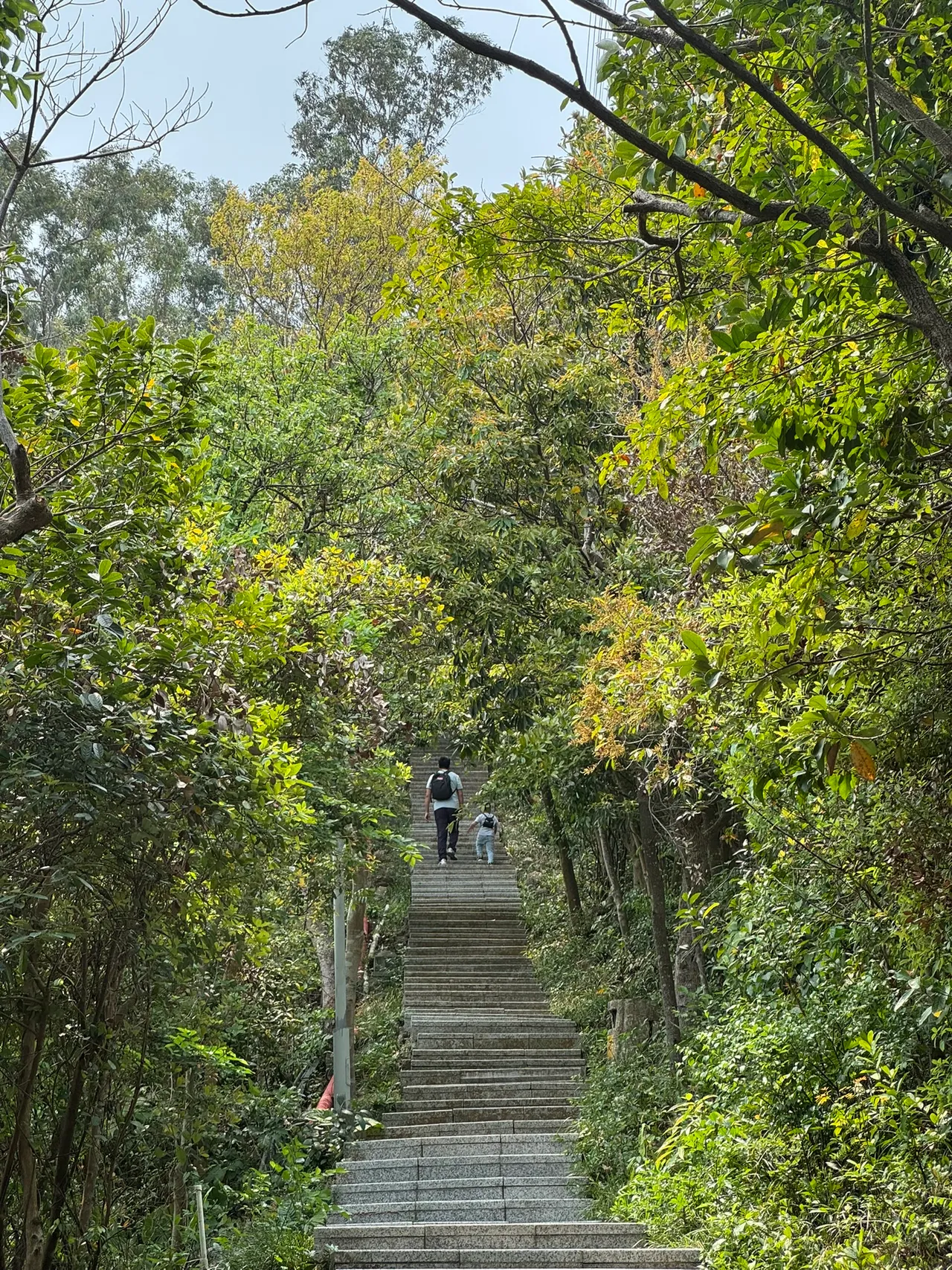 小南山公园 · 摄影 5