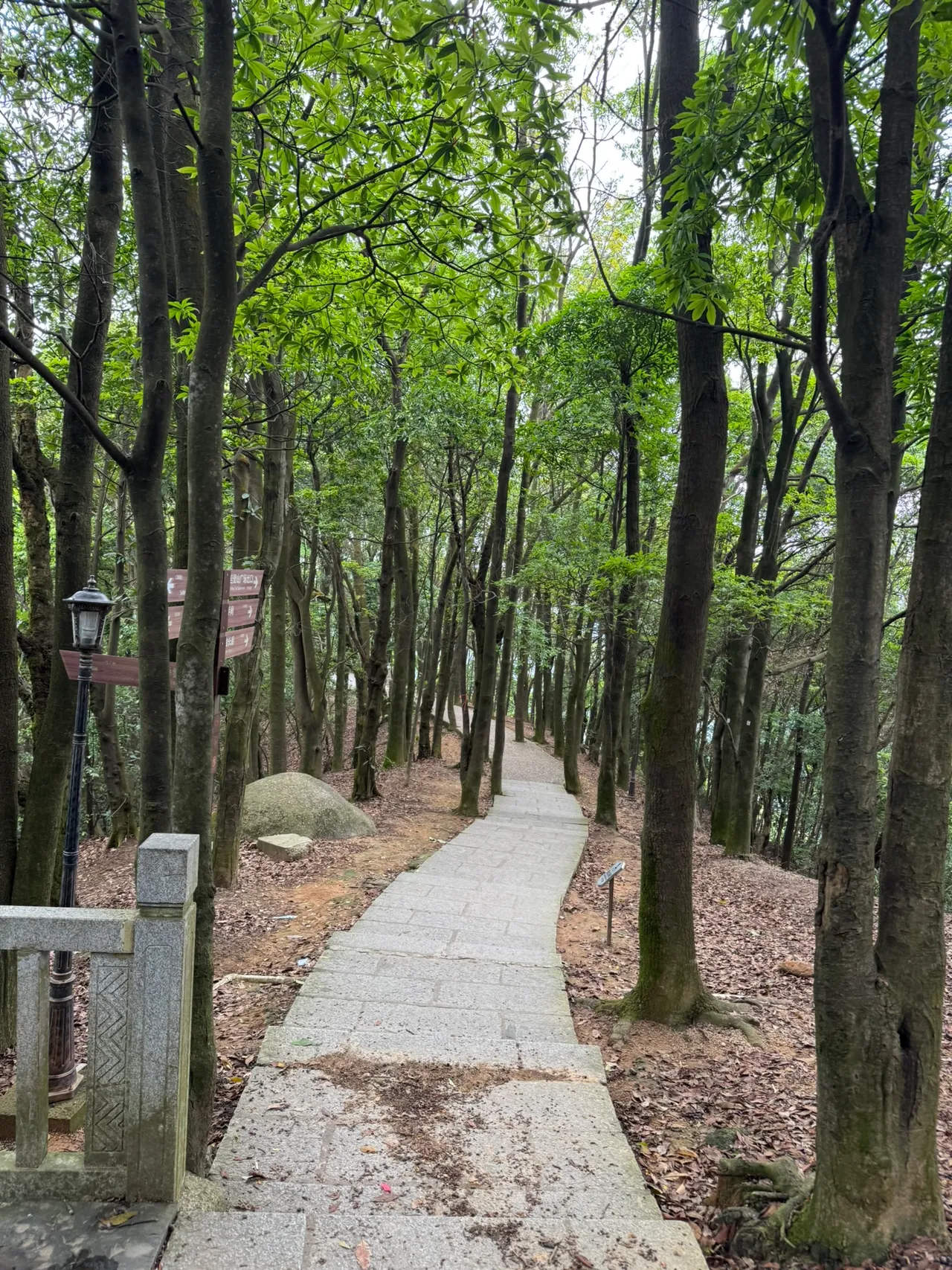 阳台山公园 · 摄影 4