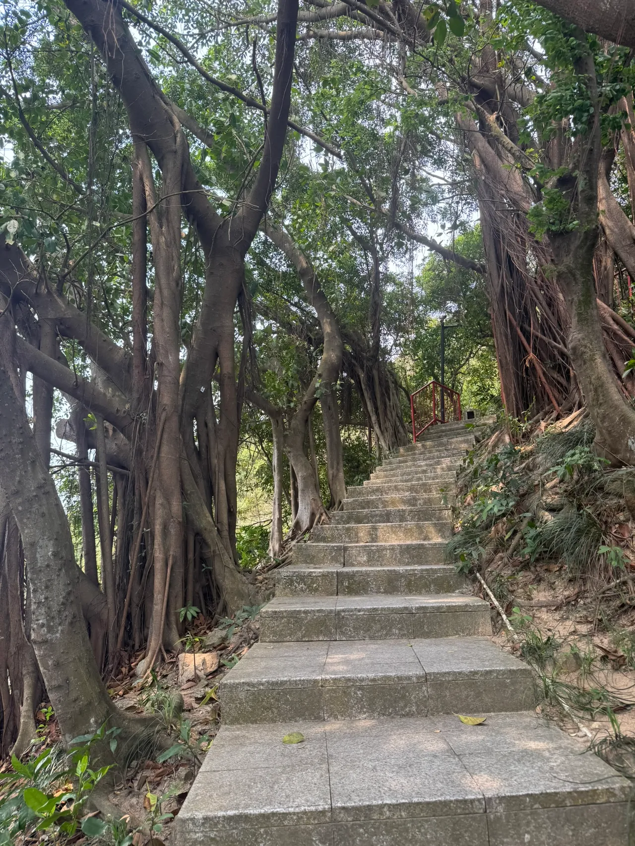 小南山公园