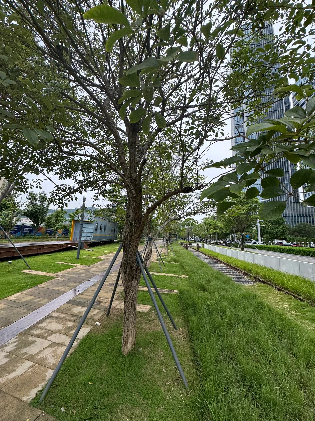 前海铁路公园 · 摄影 3