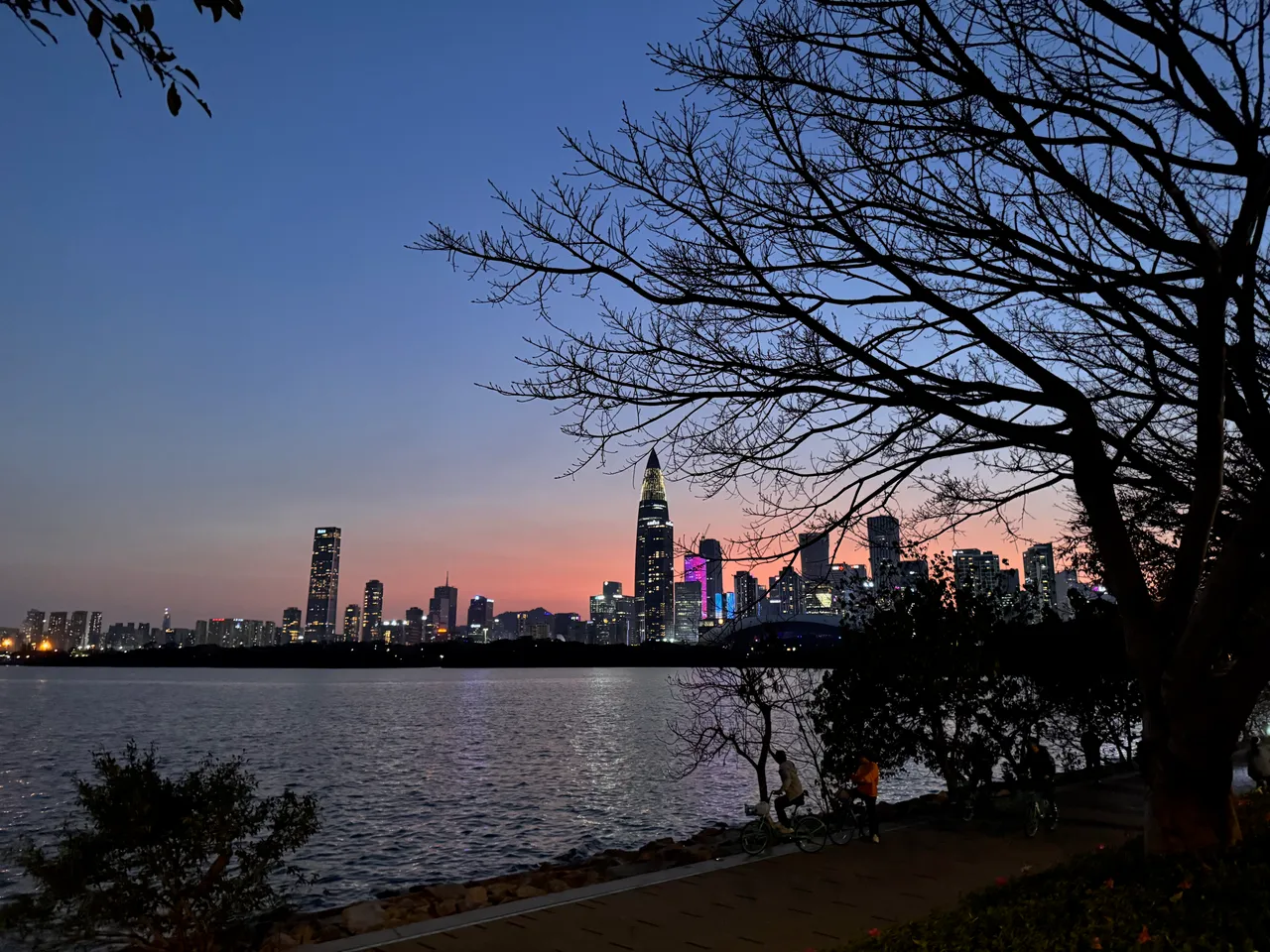 深圳湾公园 · 摄影 6