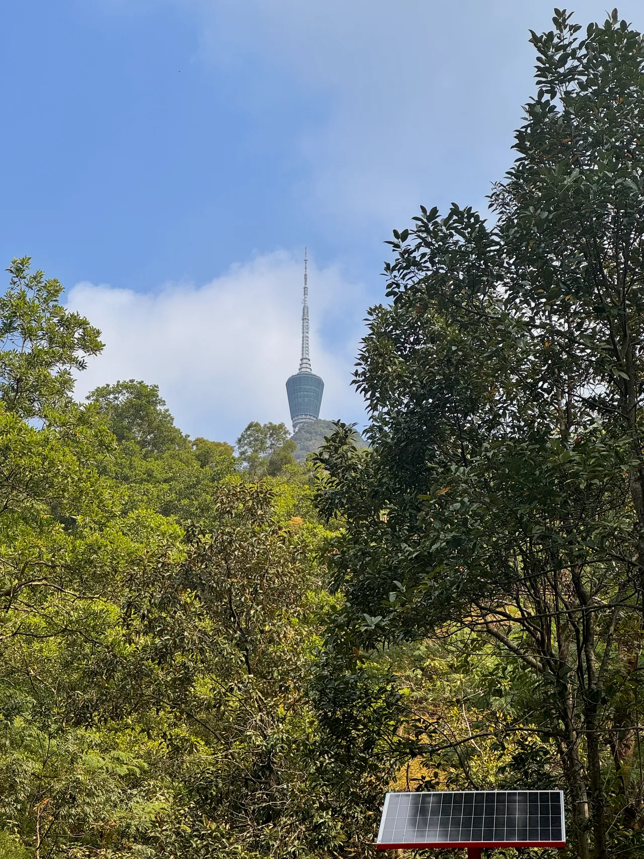 梧桐山公园 · 摄影 3