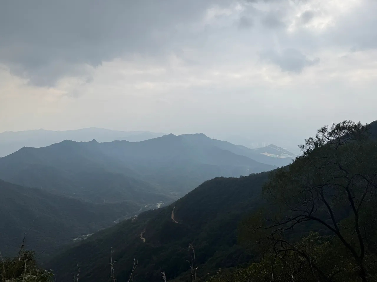梧桐山公园 · 摄影 5