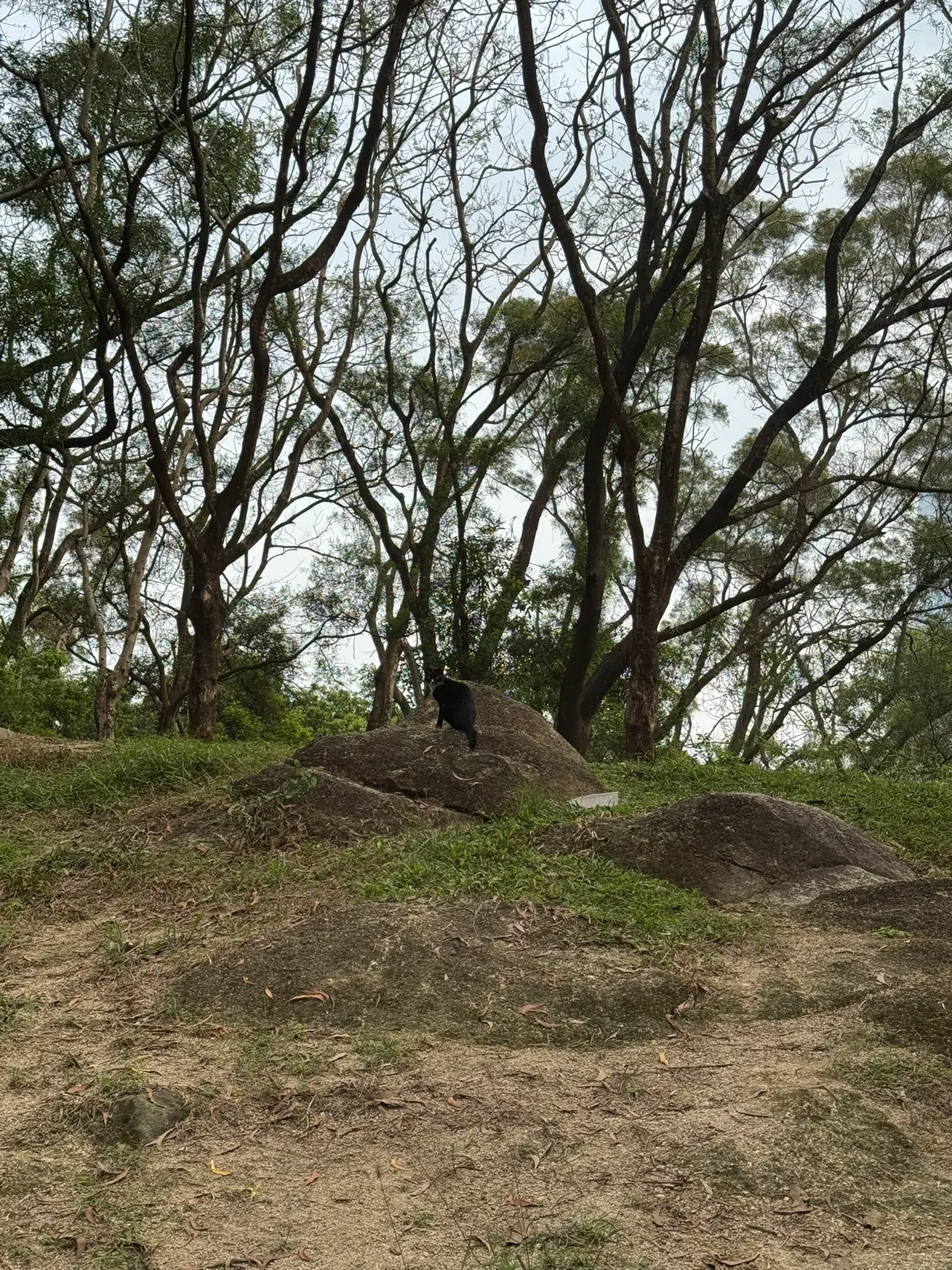 燕晗山郊野公园 · 摄影 2