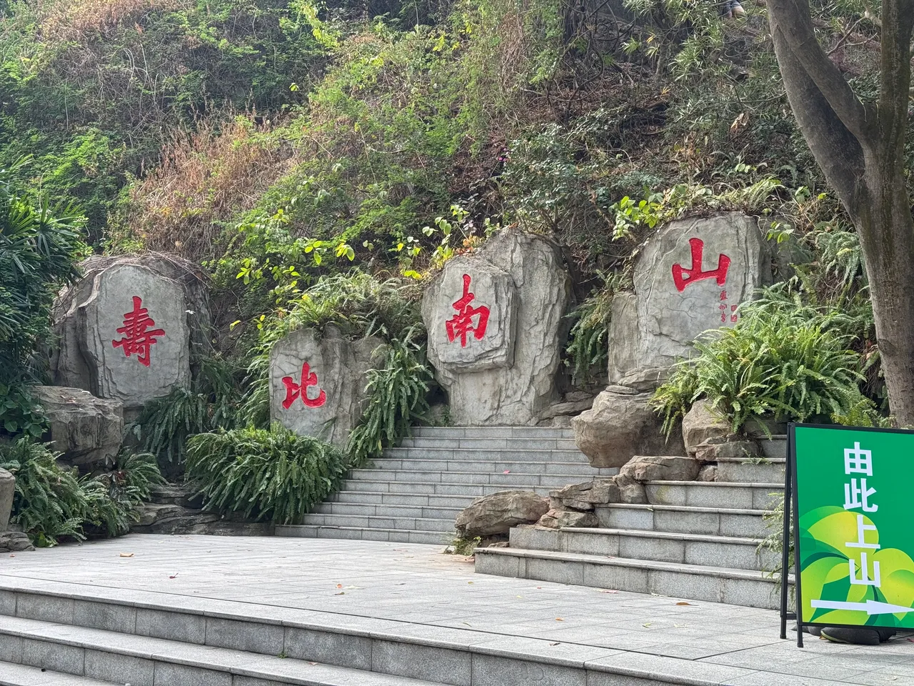 大南山公园 · 摄影 6