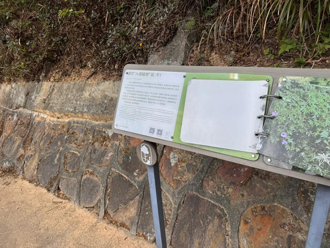 梧桐山公园
