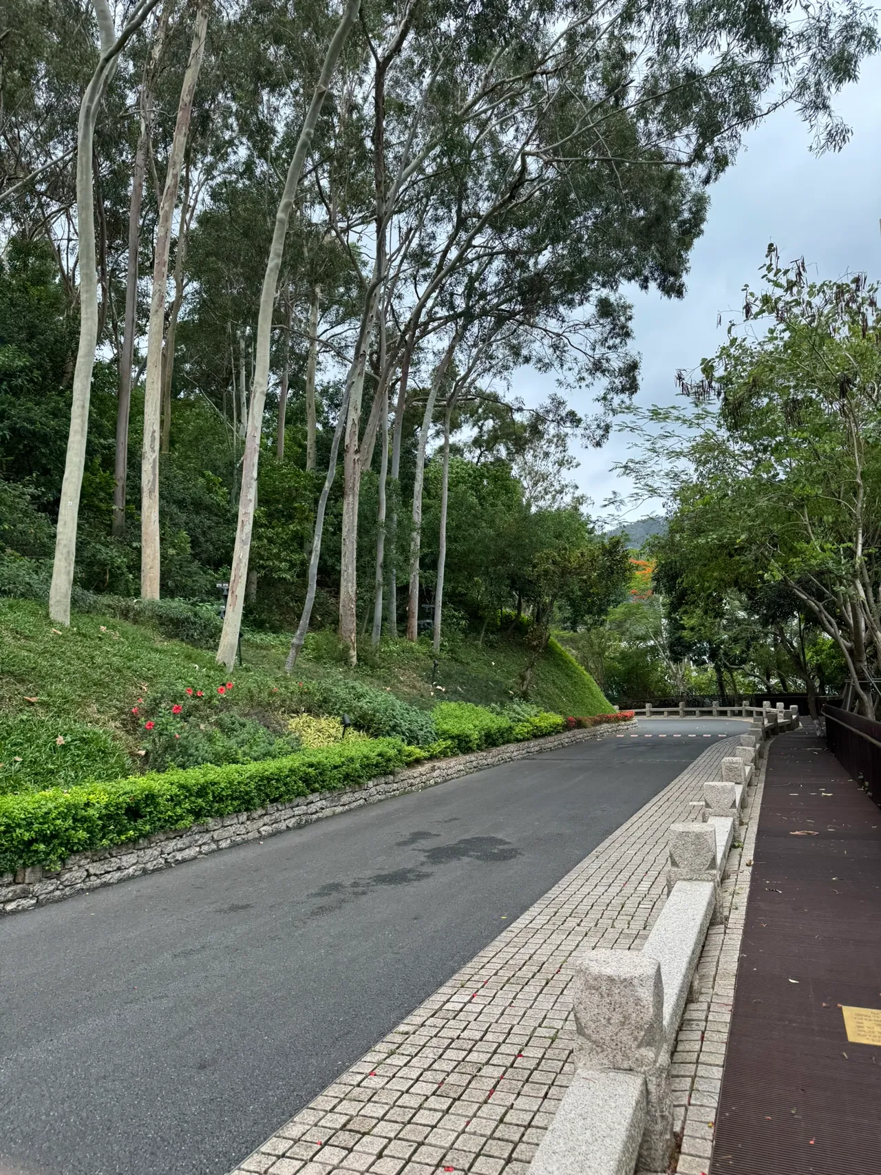 微波山公园