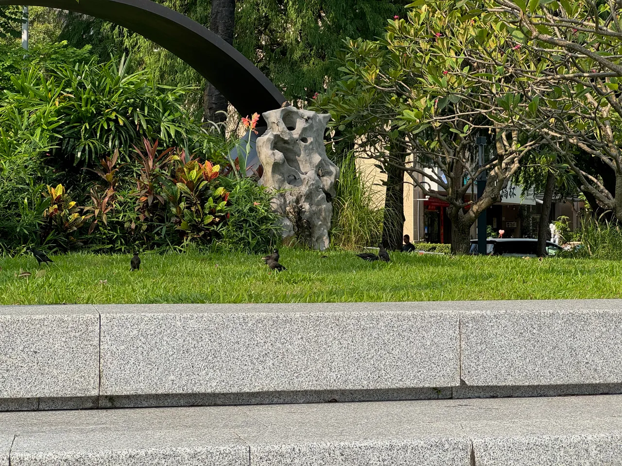 四海公园 · 摄影 8