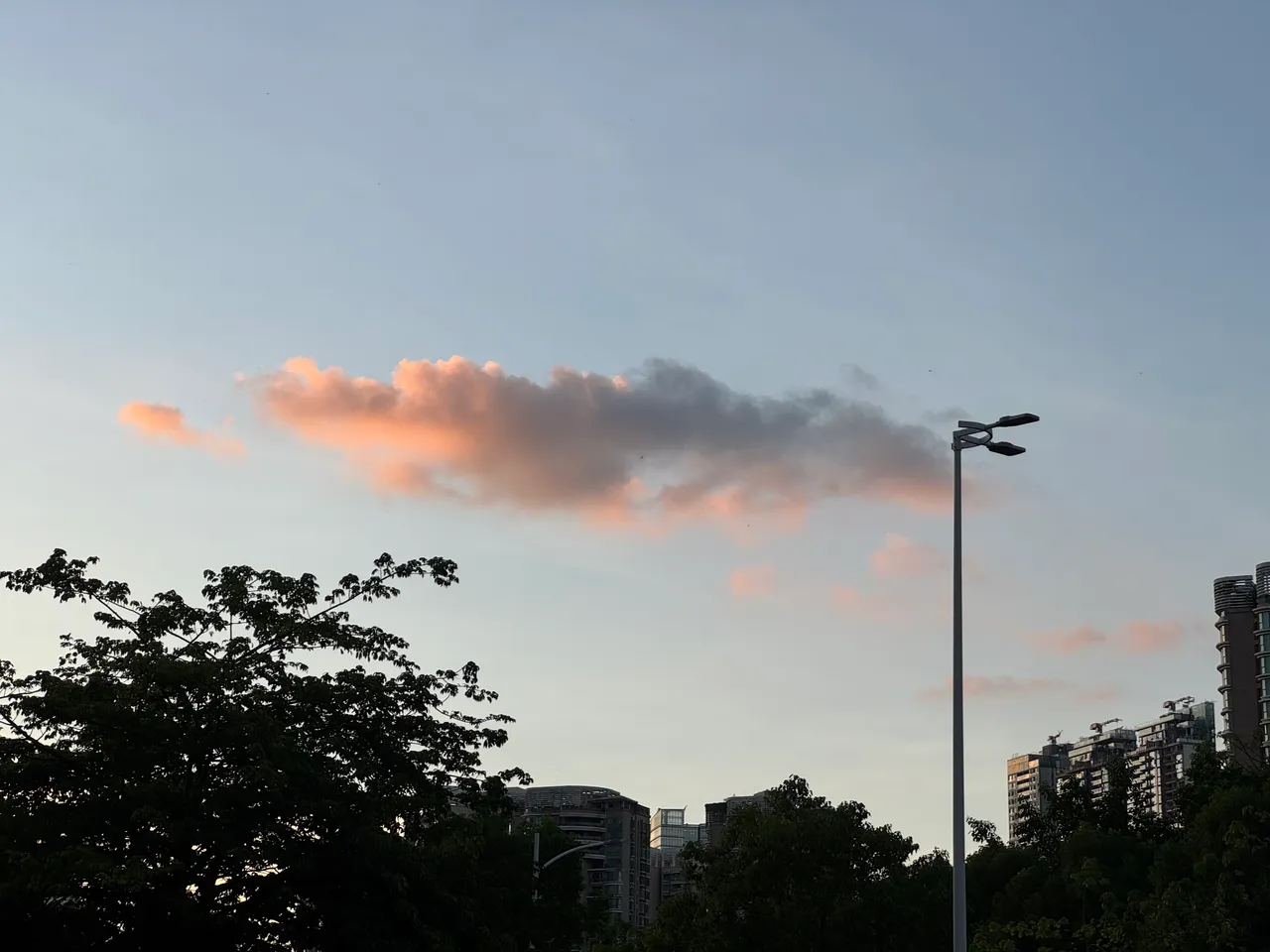 福田红树林生态公园 · 摄影 6