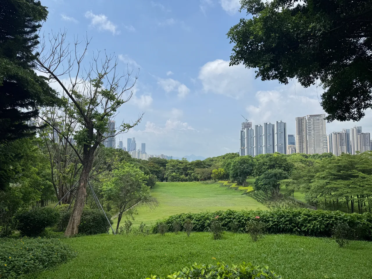 大沙河公园