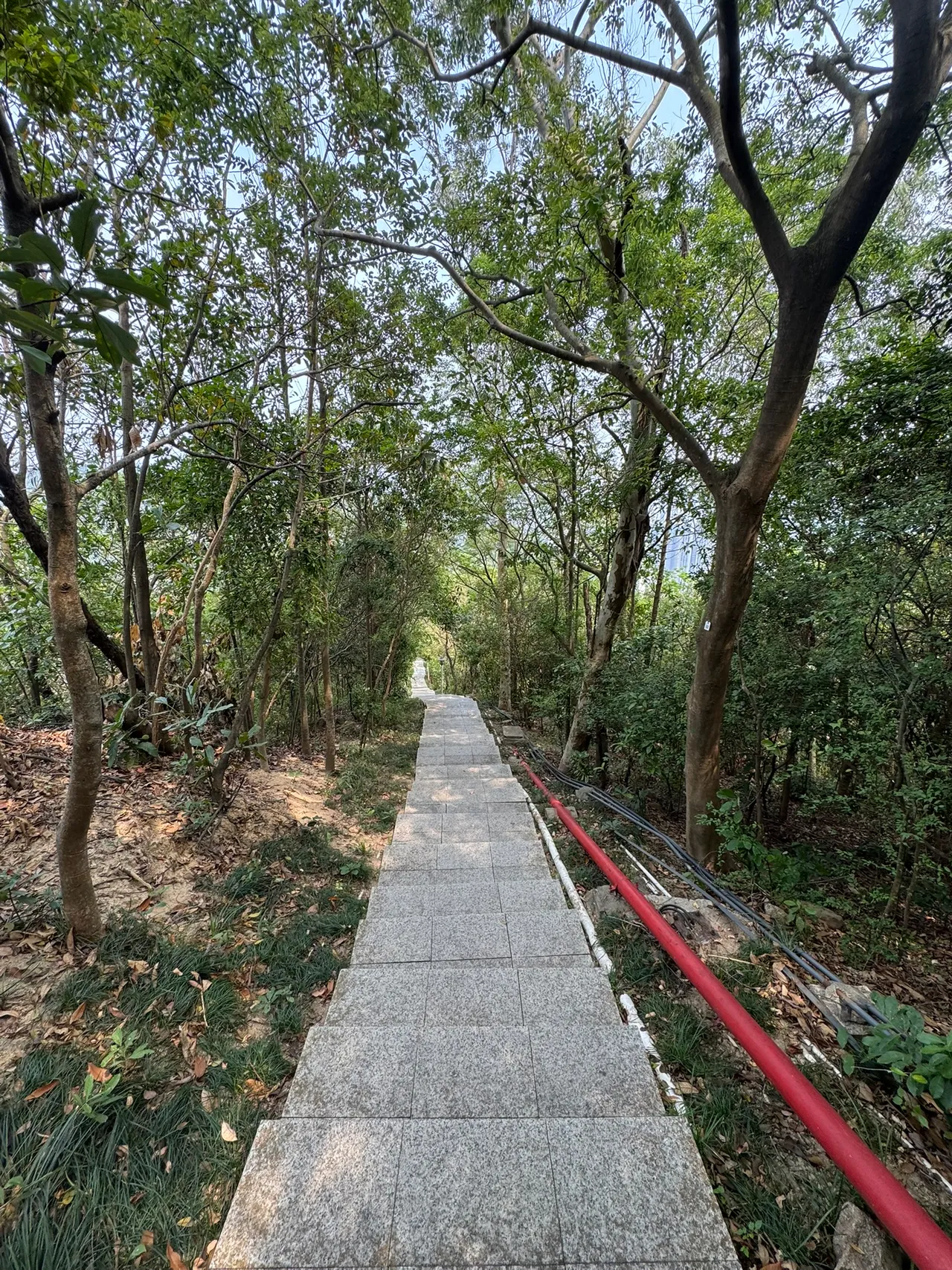 小南山公园 · 摄影 4
