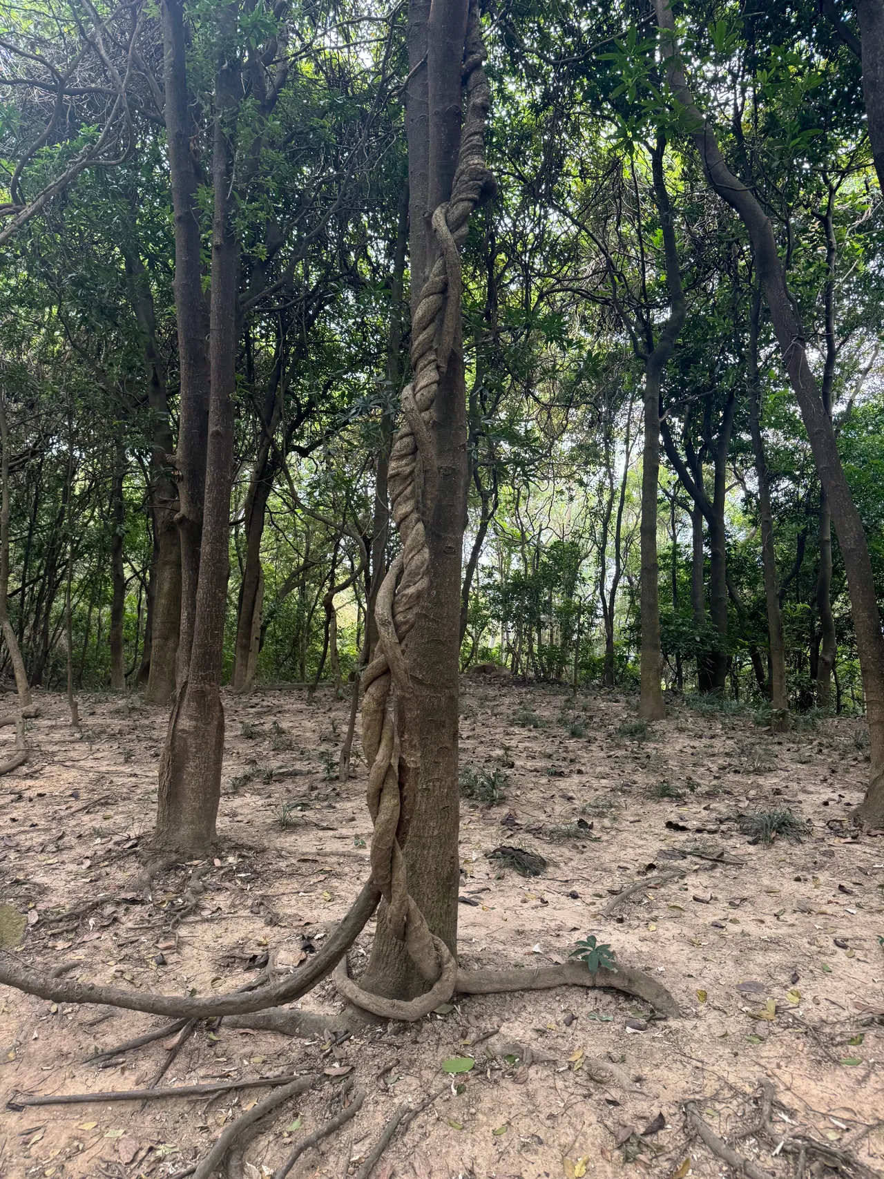 平峦山公园 · 摄影 6