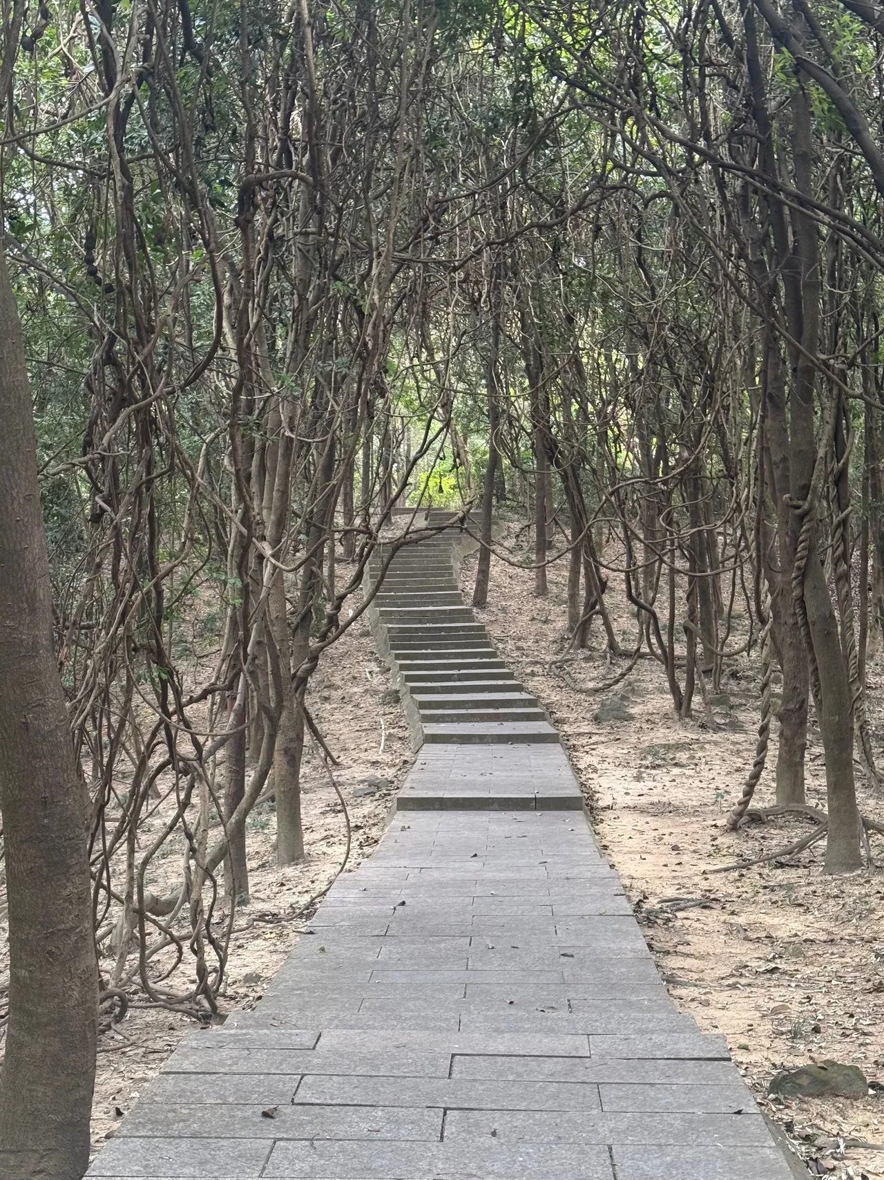 平峦山公园 · 摄影 7