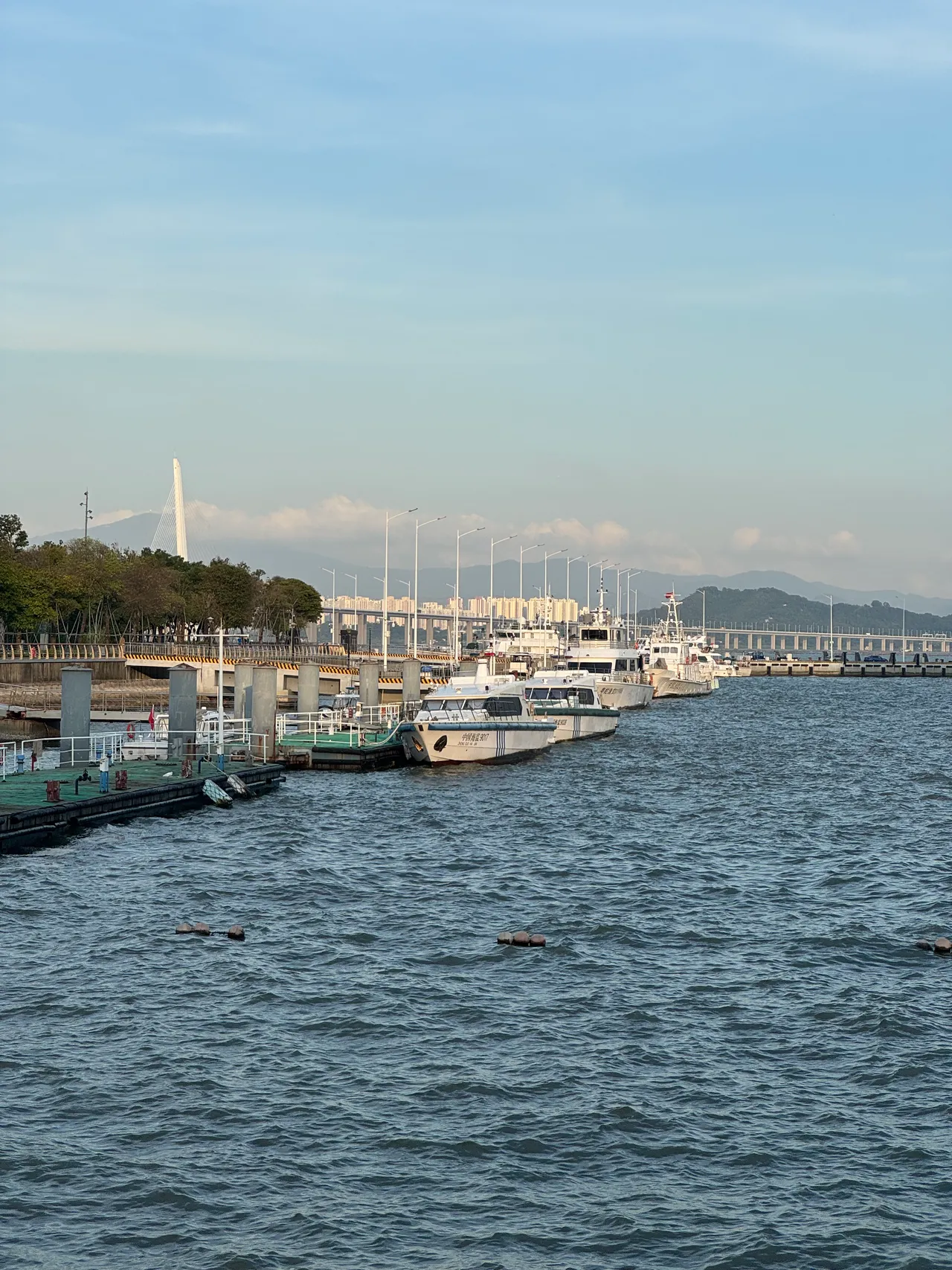 深圳湾公园