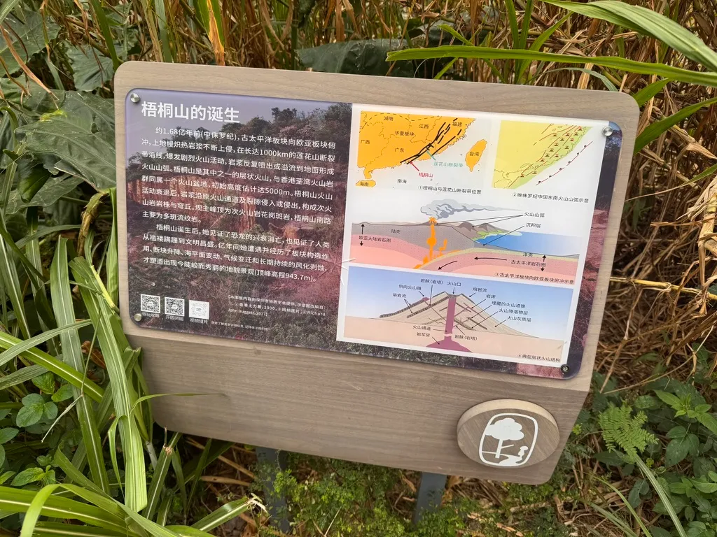 梧桐山公园