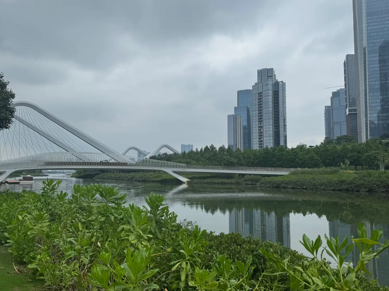 桂湾公园 · 摄影 4