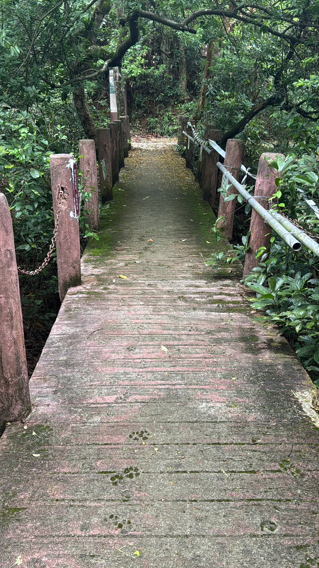 阳台山公园 · 摄影 5