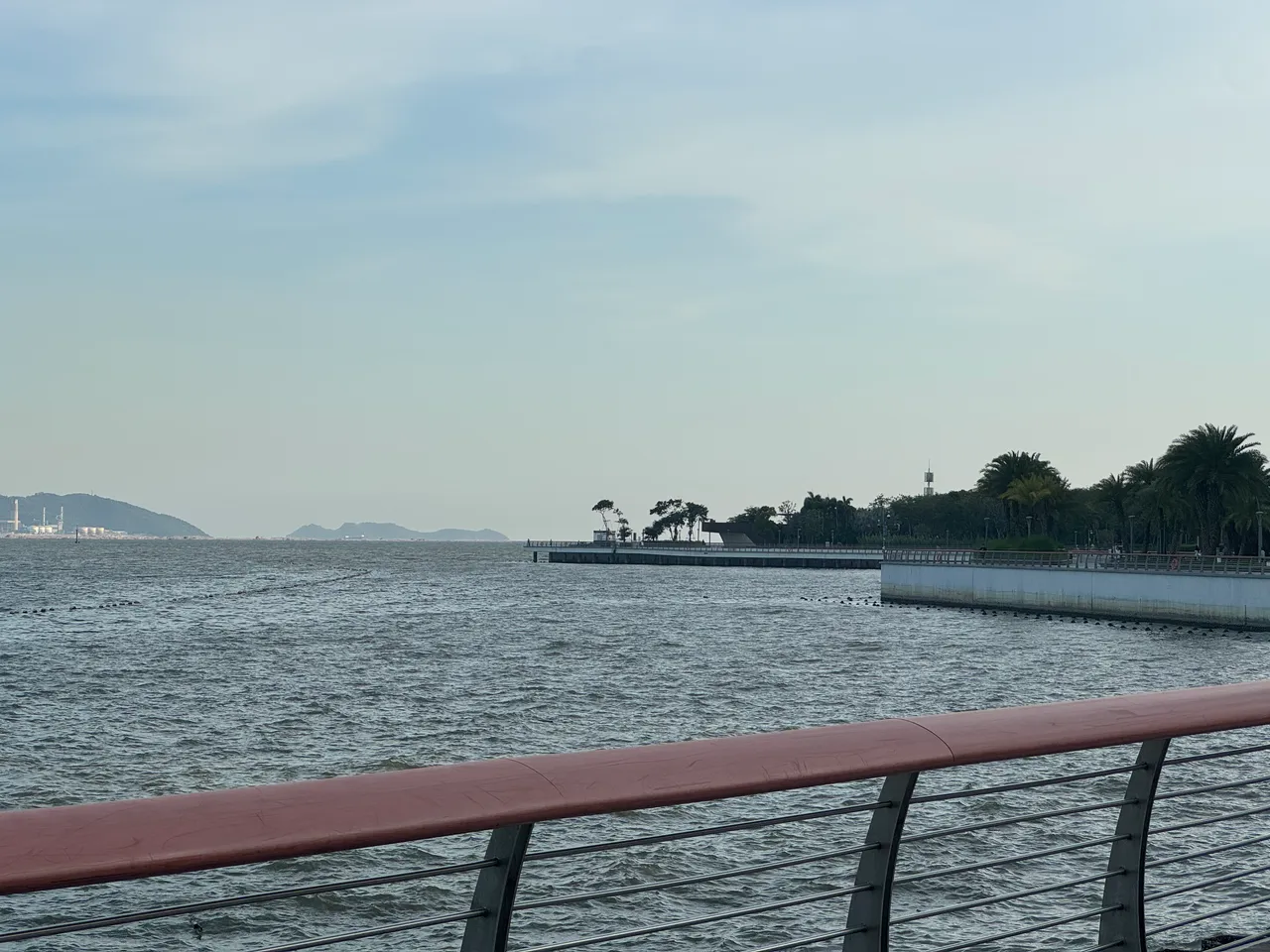 深圳湾公园 · 摄影 3