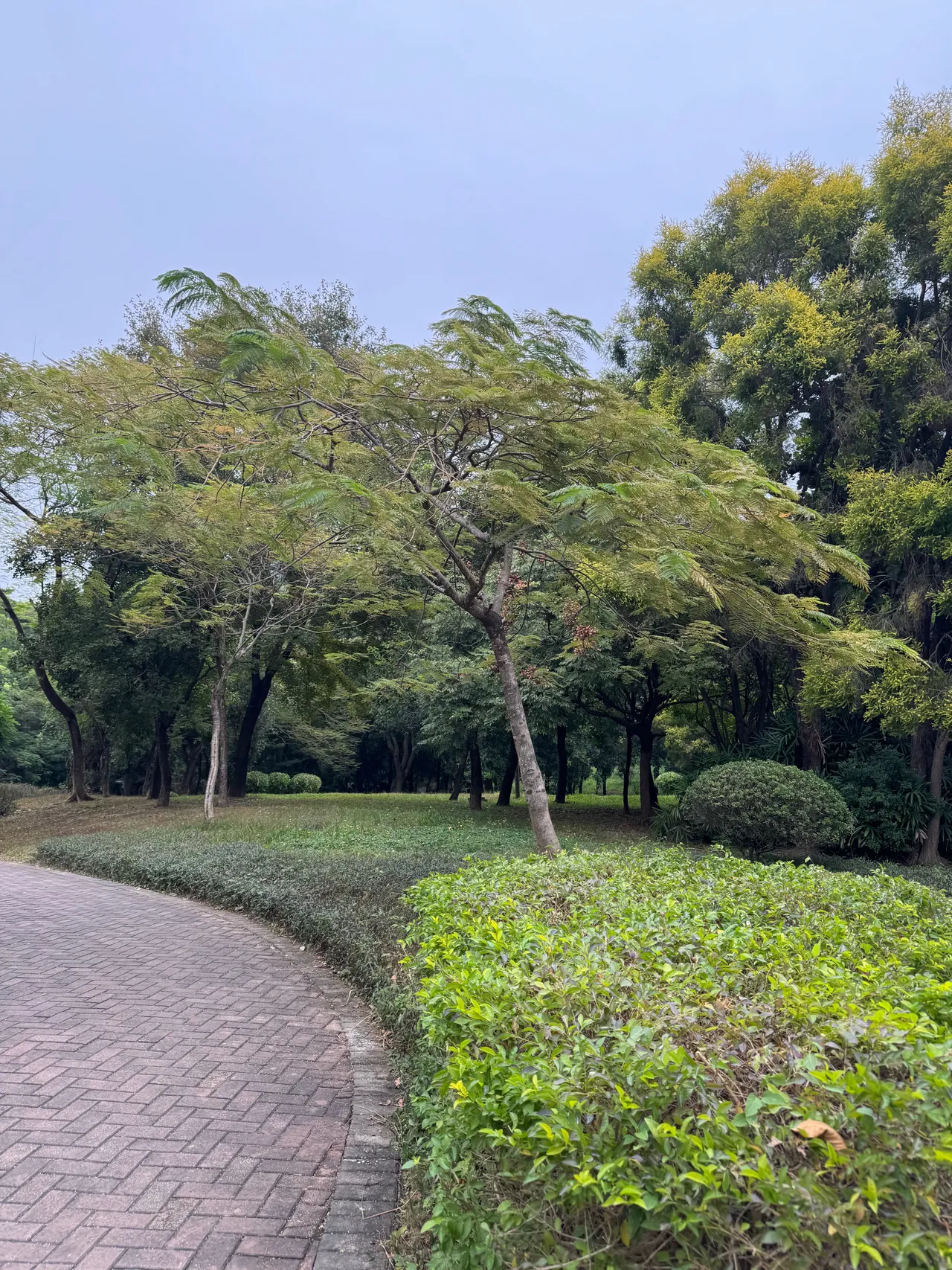 平峦山公园 · 摄影 2