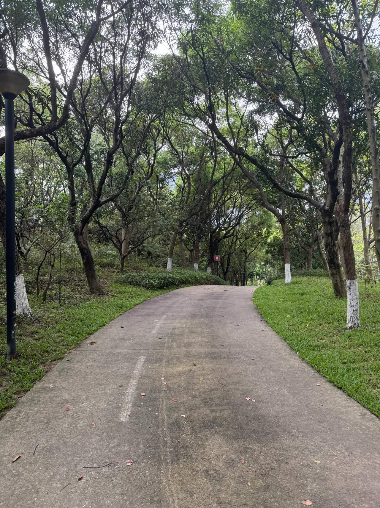 燕晗山郊野公园