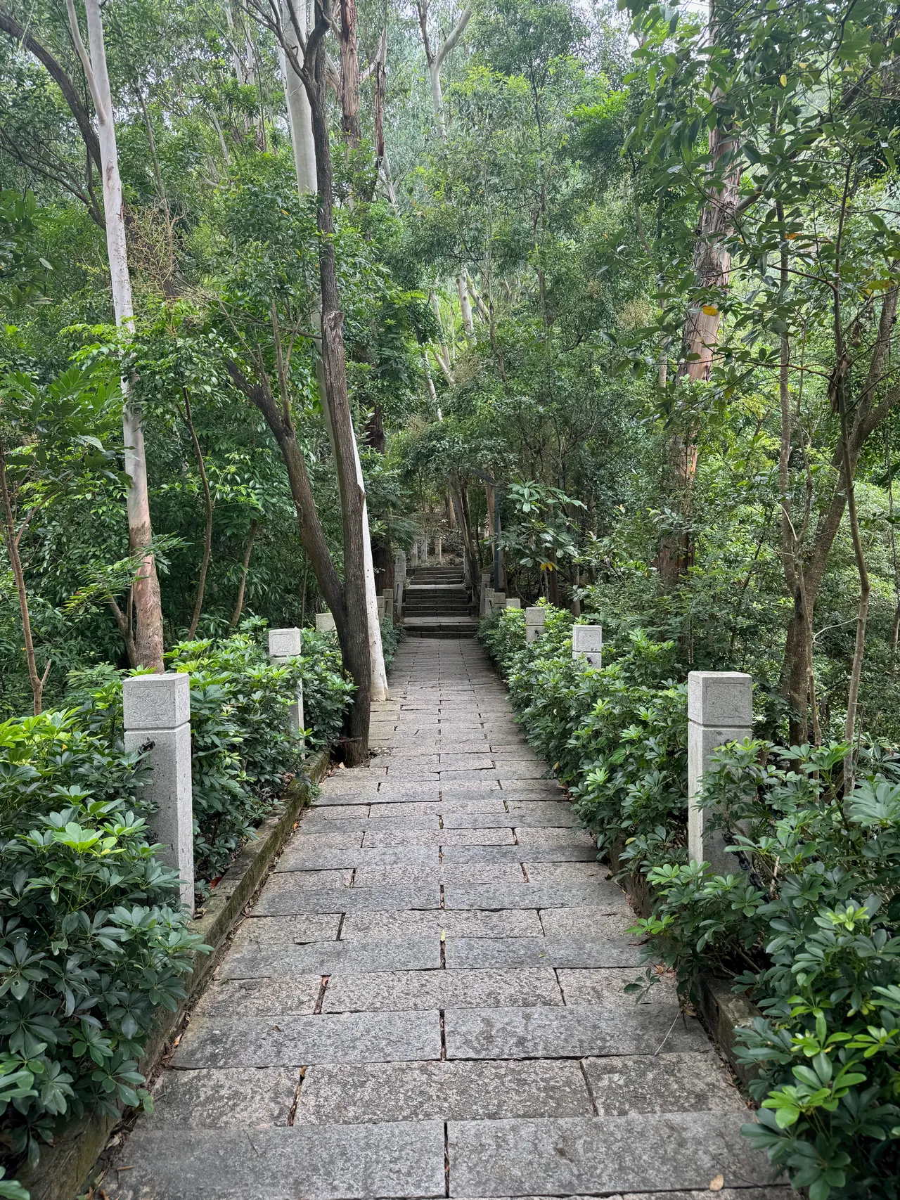 大南山公园 · 摄影 3