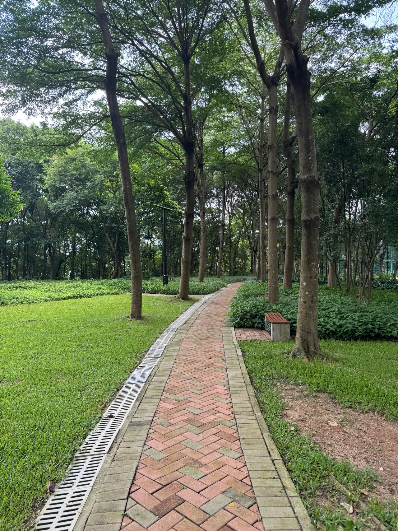 大沙河公园 · 摄影 3