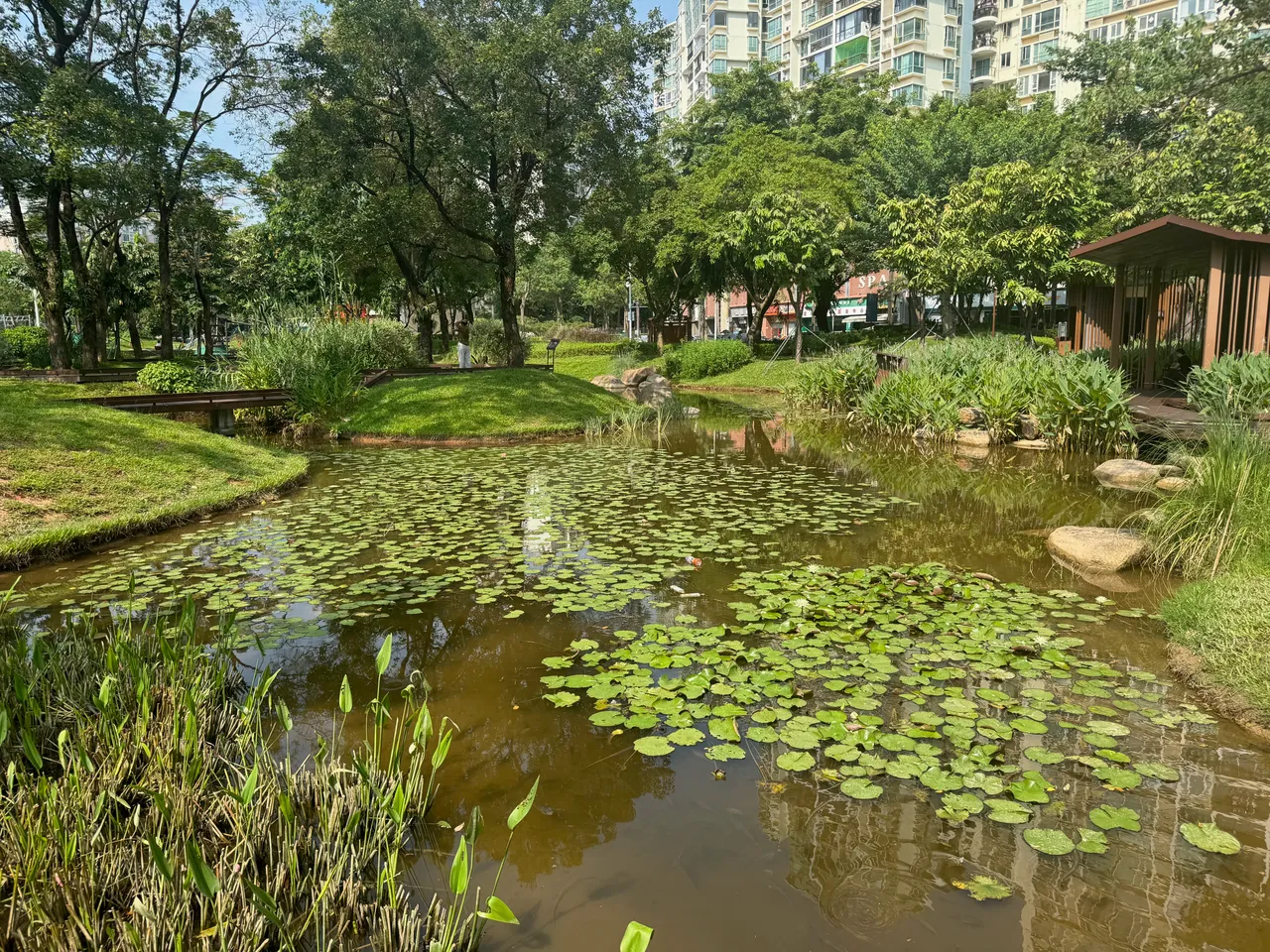 九祥岭湿地公园 · 摄影 5