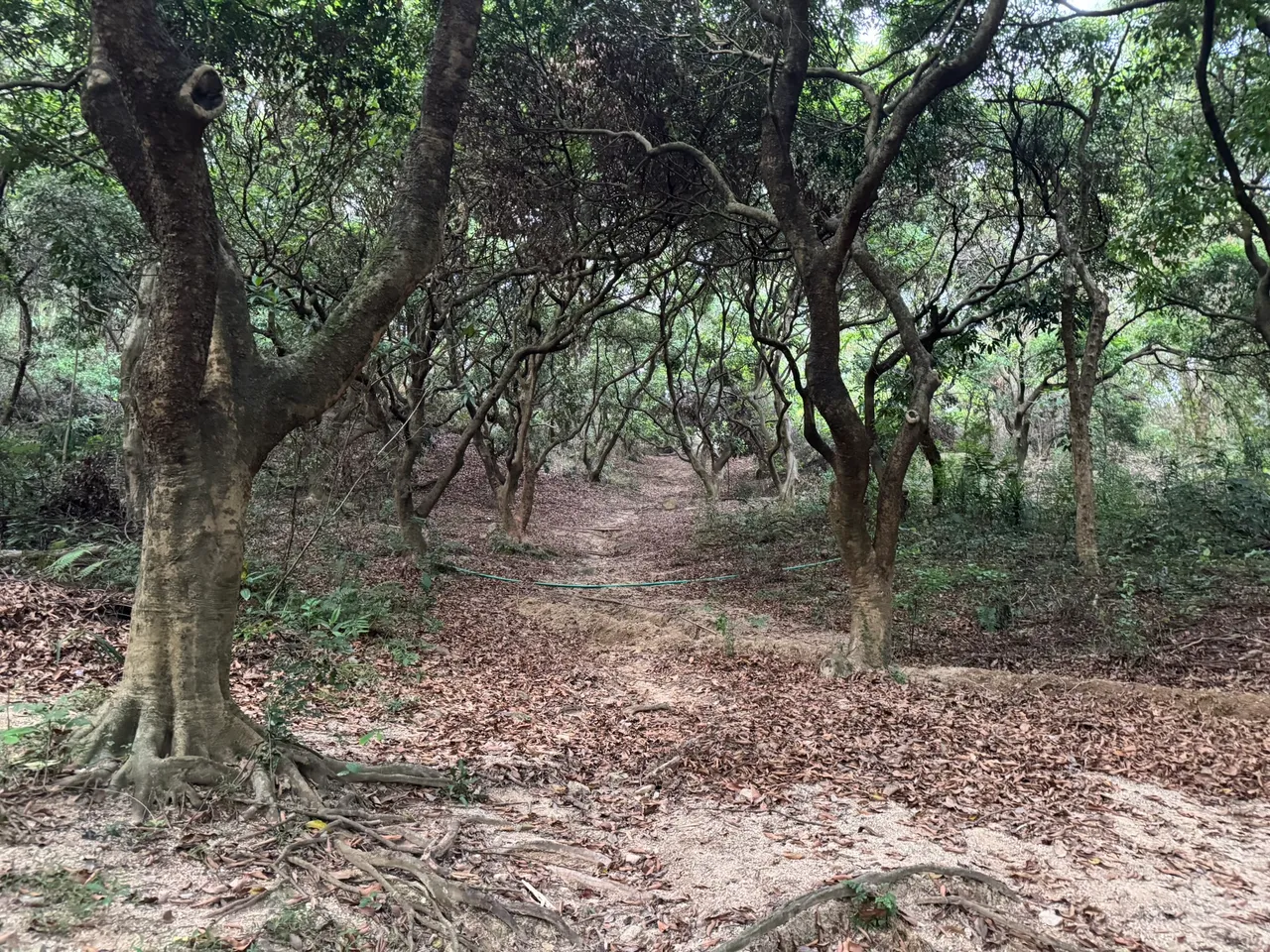燕晗山郊野公园 · 摄影 3
