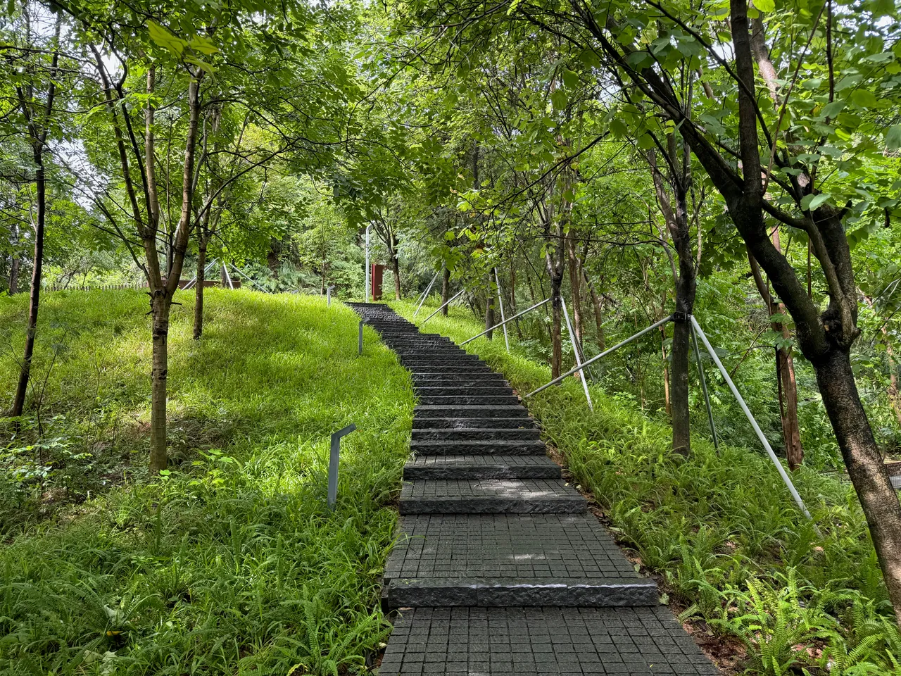 西丽生态公园 · 摄影 2