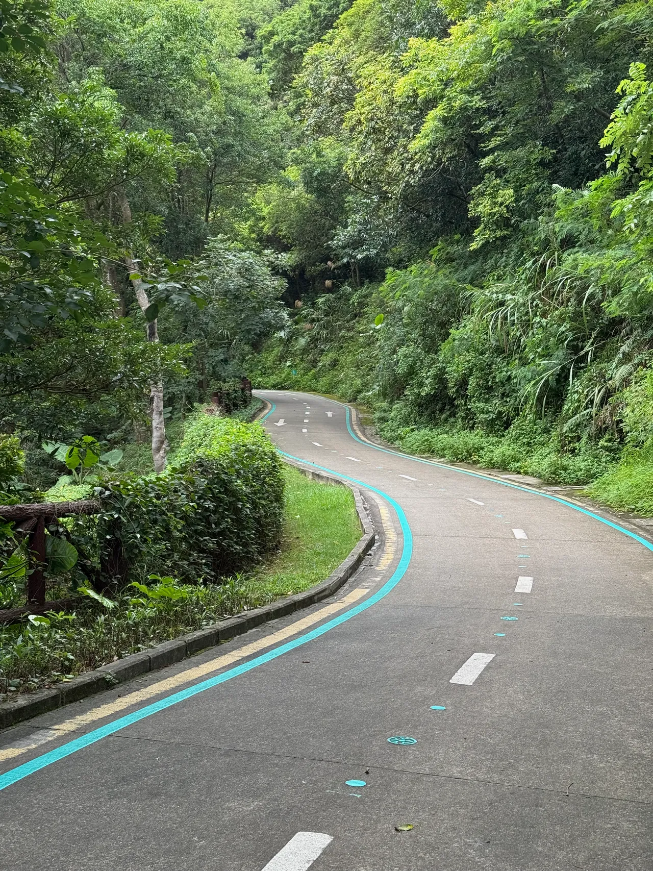 银湖山公园 · 摄影 5