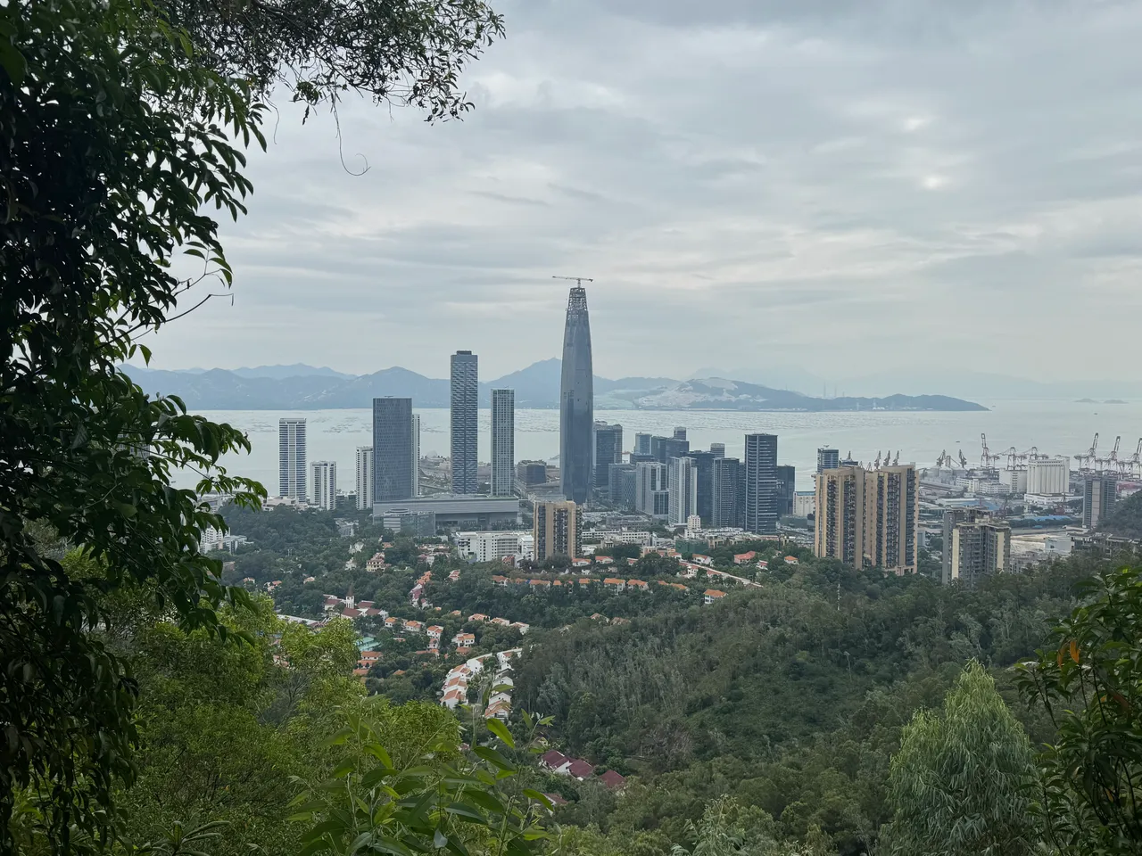 大南山公园