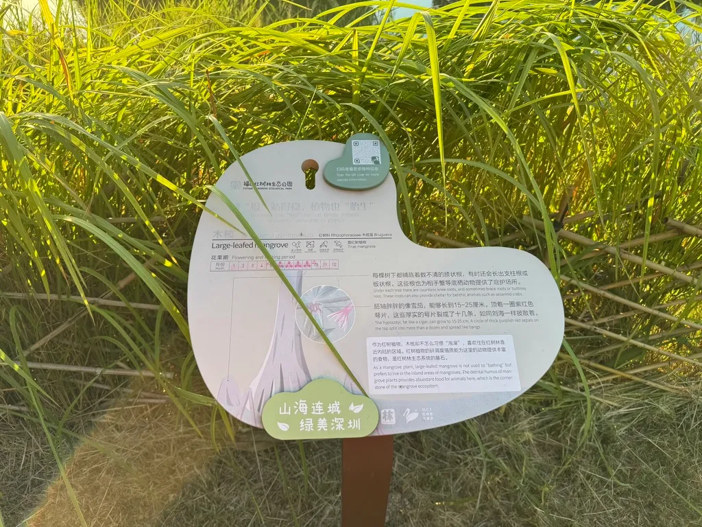 福田红树林生态公园