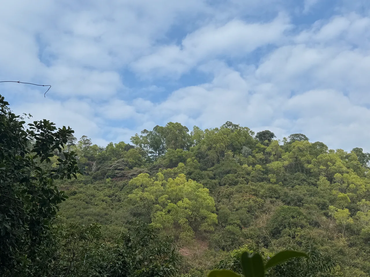 大南山公园 · 摄影 4