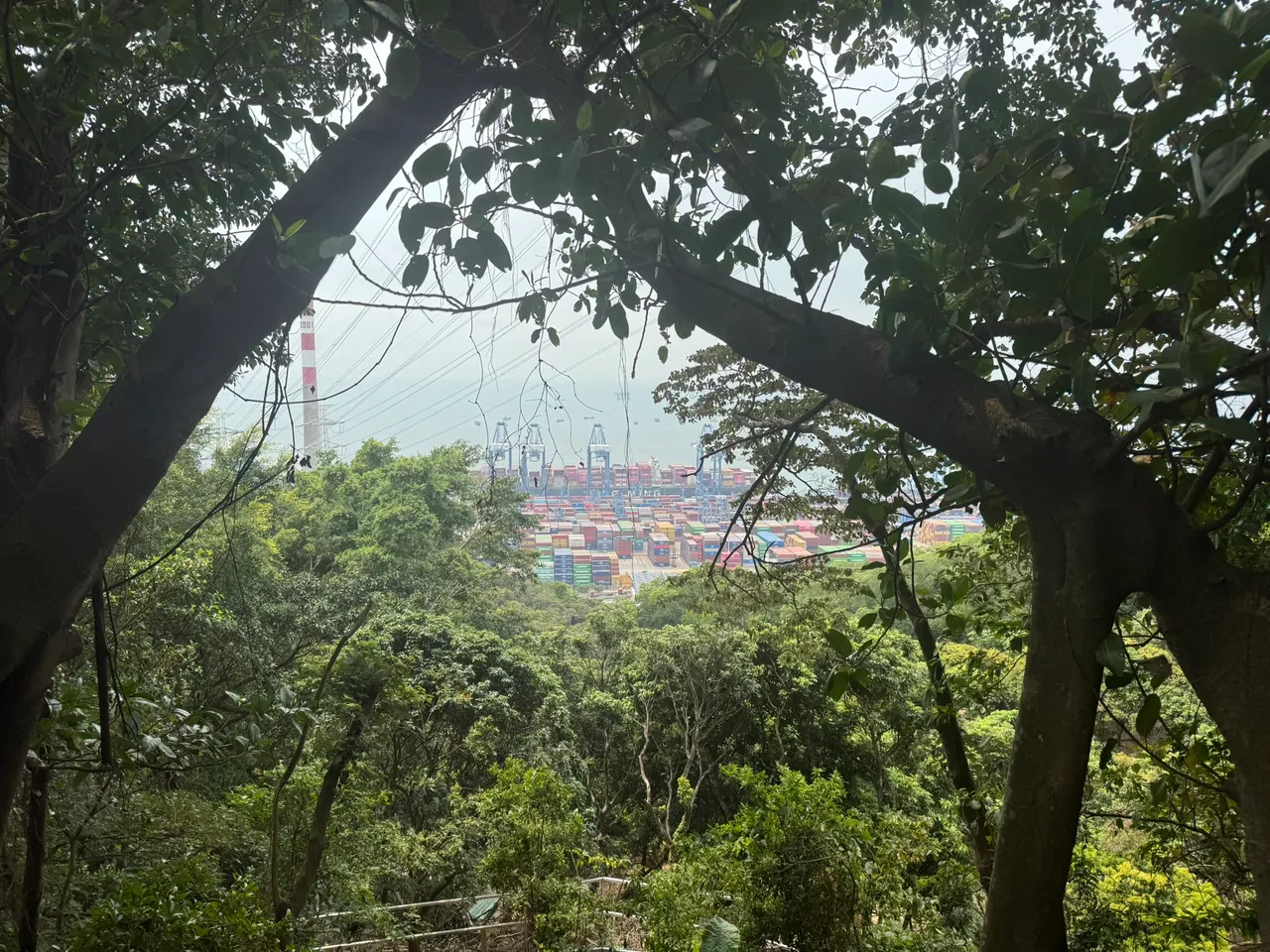 小南山公园 · 摄影 2