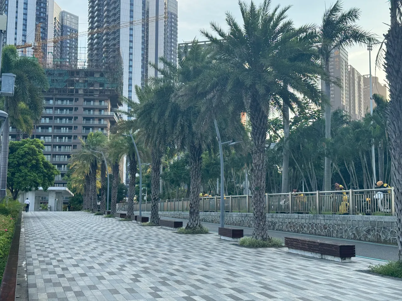 深圳湾公园 · 摄影 2
